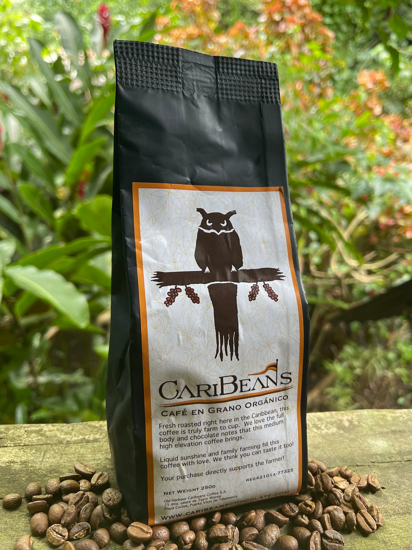 4 Set 250g Bags of Costa Rican Coffee